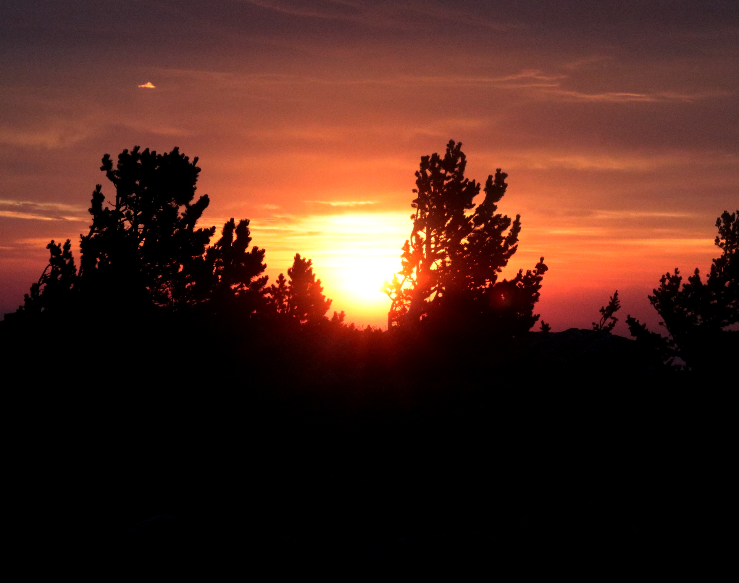 sunrise